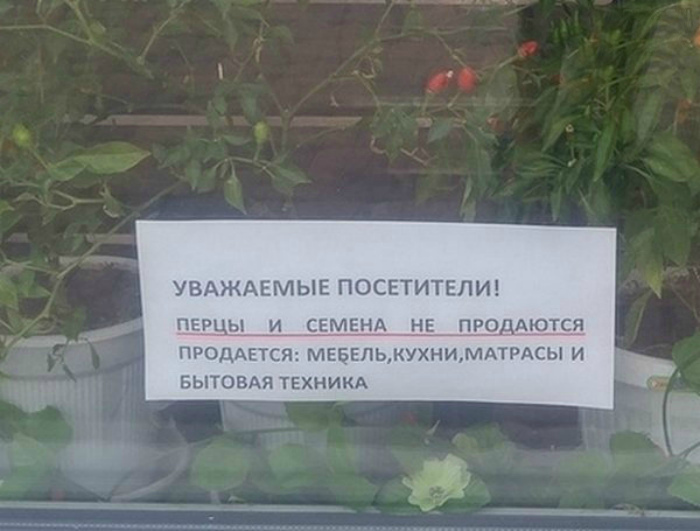 Уморительные объявления и вывески, которые поднимут настроение любому 