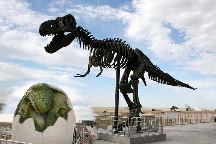 Именно в этой местности почти 100 лет назад нашли большое количество останков динозавров.