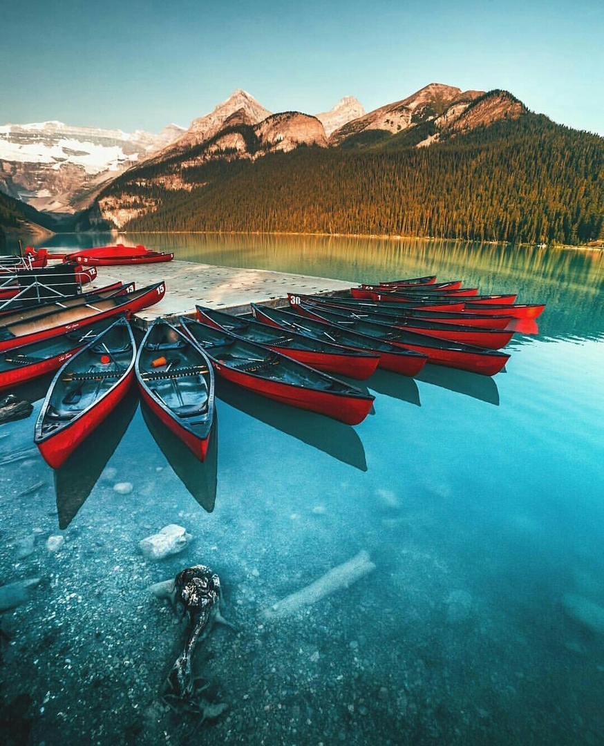 Восхитительные и красочные фотографии из нашей жизни 