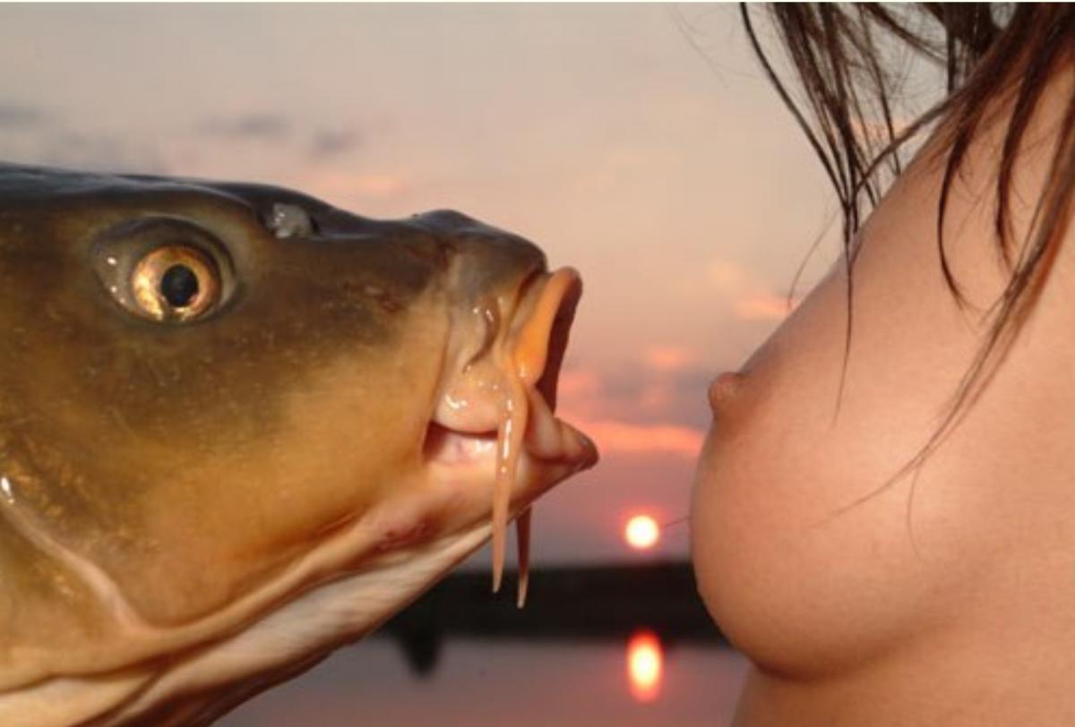 Хороший секс классный парочки на рыбалке