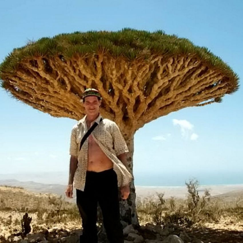 путешествие, дом, туризм