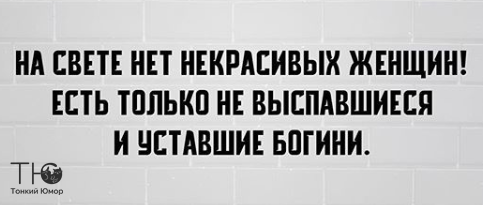 - Почему весной коты так громко орут? - Потому что кошки любят ушами! анекдоты,демотиваторы,приколы,Смешные животные,Хохмы-байки,юмор