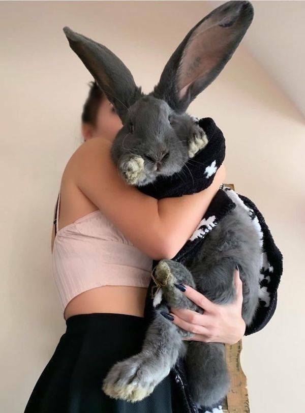 Подборка прикольных картинок  приколы,смешные картинки,юмор