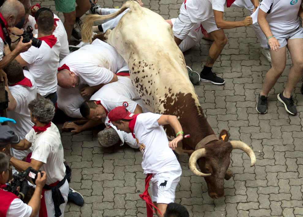 Cuanto cuesta un toro de san fermin