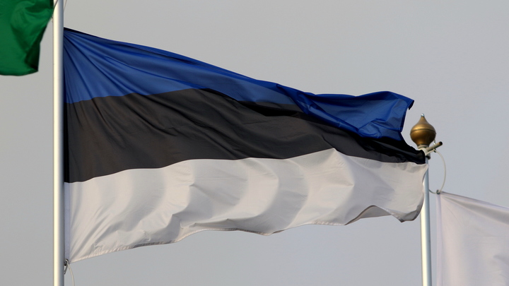 МВД Эстонии обвинило русских пограничников в снятии буев на реке Нарва