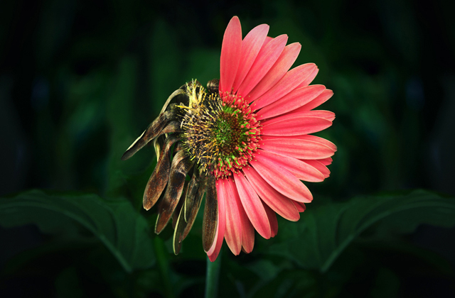 Что произойдет с Землей к 2100 году Что произойдет с Землей к 2100 году