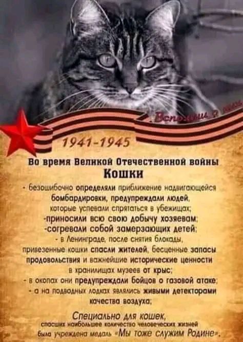 Хорошо там, где нас нет. Если не верите, можем прийти Хорошо там, где нас нет. Если не верите, можем прийти чтобы, поздравил, глотку, Трампу, марта, Трампа, имена, радовать, которые, ниспослании, запущенных, правописания, проверке, онлайн, услугой, Телеметрия, отсылает, Стесняюсь, просматриваемых, программ