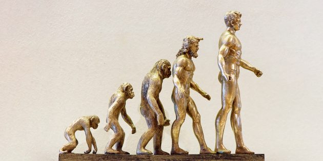 «Выживает сильнейший»: 10 самых известных мифов об эволюции мифы,наука,человек,эволюция