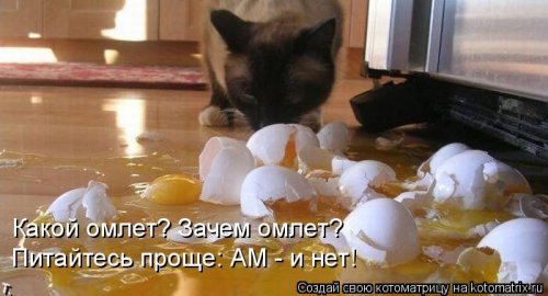 Лучшая котоматрица недели Лучшая котоматрица недели смешные картинки