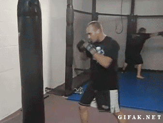 Забавные и позитивные гифки из сети 