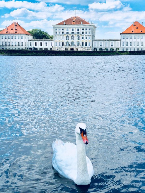 Фотоподборка вторника 27 ноября Фотоподборка вторника 27 ноября