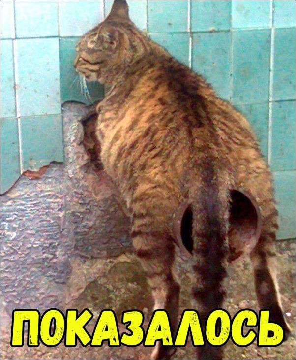 Фотоподборка вторника 27 ноября Фотоподборка вторника 27 ноября