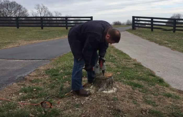 Как удалить пень без выкорчёвывания Как удалить пень без выкорчёвывания выкорчевка пня