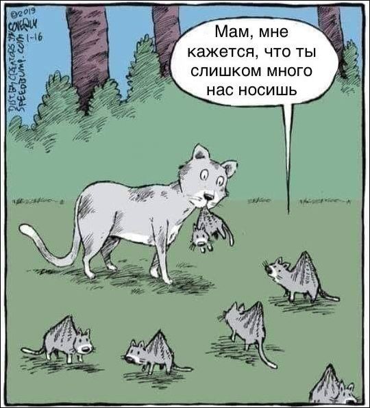 комиксы и карикатуры
