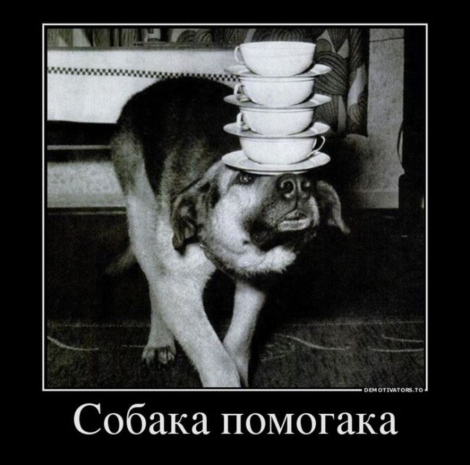 Подборка интересных и веселых картинок №54 Подборка интересных и веселых картинок №54 отдых