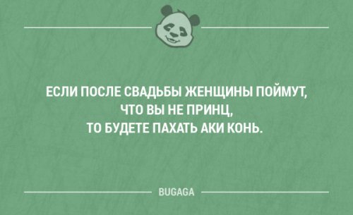 Прикольные фразы и забавные мысли. Часть 77 (20 шт)