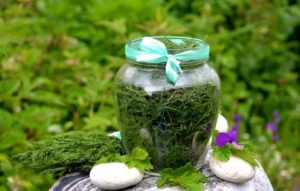 Укроп на зиму