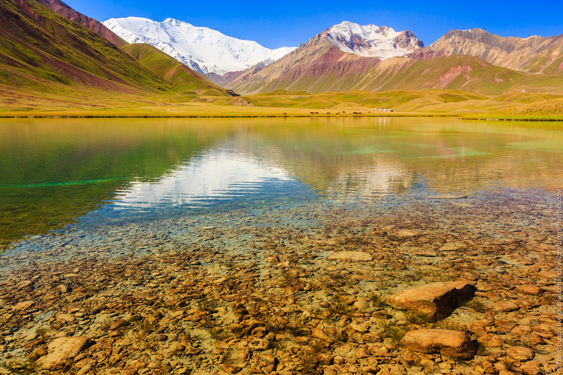 Природа Киргизии с высоты: Тулпар-Кёль авиатур