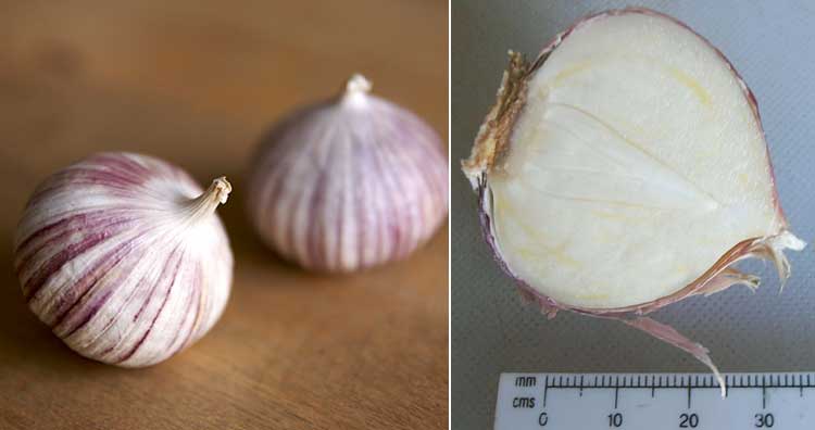 23 самых необычных фрукта и овоща, которые встречаются в природе 23 самых необычных фрукта и овоща, которые встречаются в природе