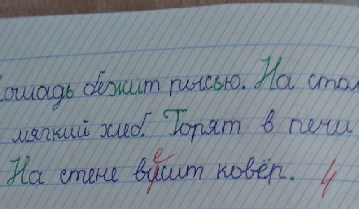 Умом училку не понять, или Нелогичные учительские замечания дневник,записи,юмор