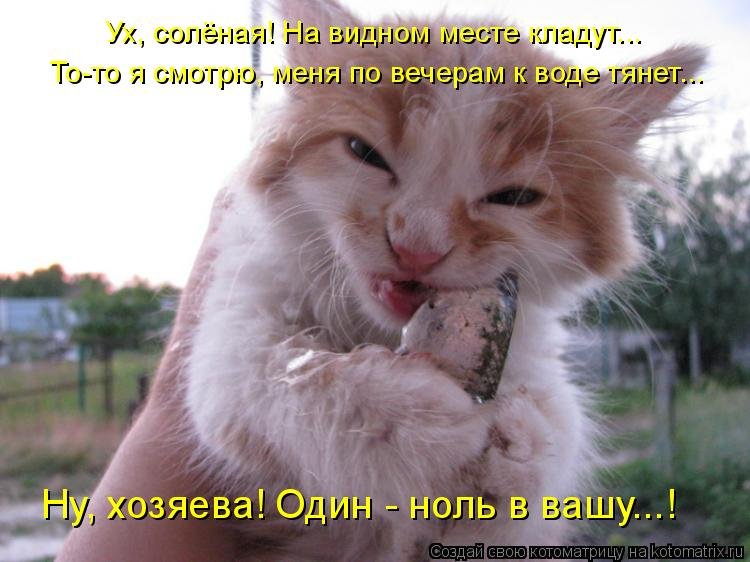 Них а особенно хорошо. Люблю поесть картинки. Угарные истории до слез из жизни. Жизнь хороша и жить хоро. Кот зараза.