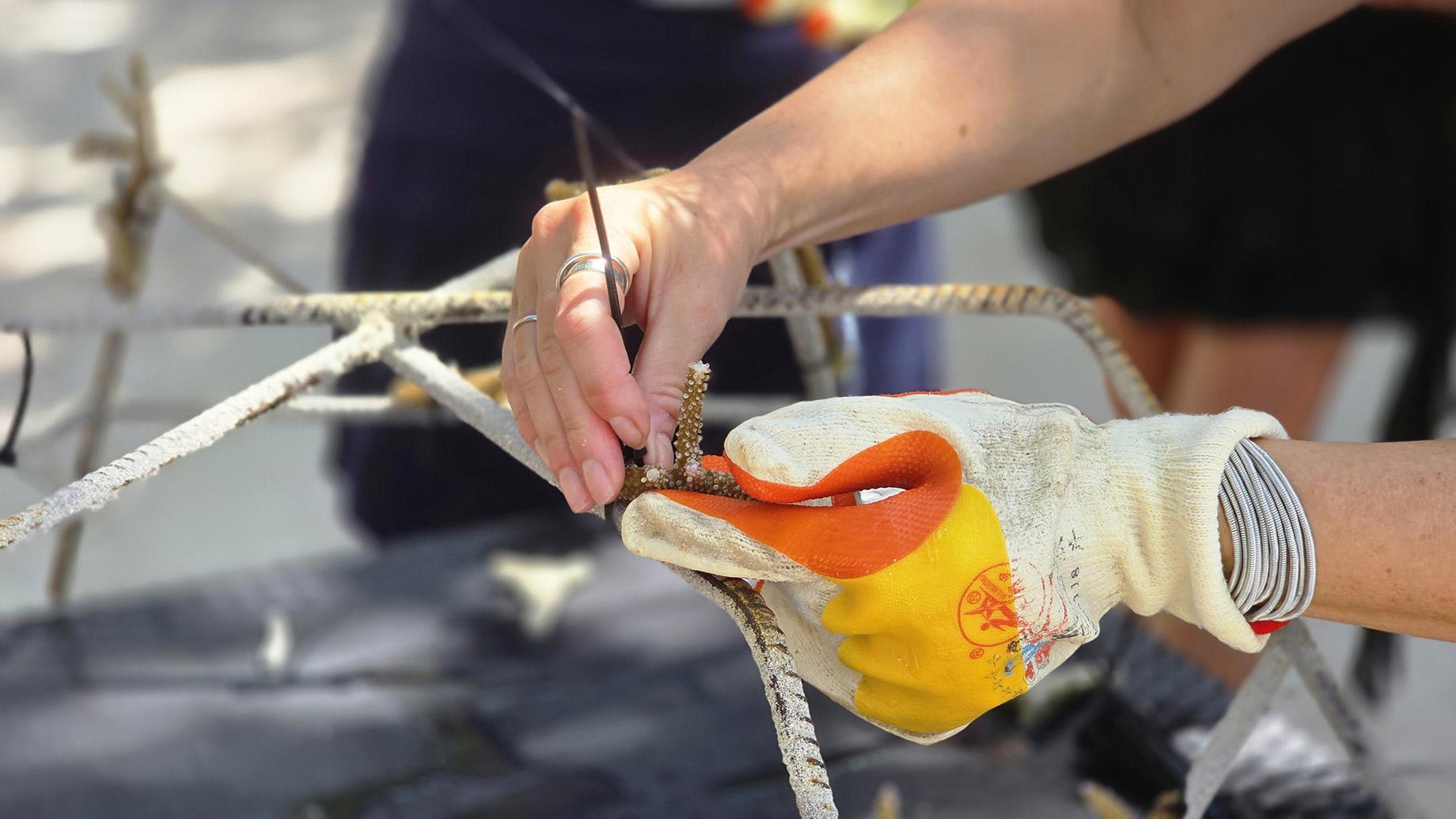 Победить стресс, подружиться с черепахой и прикоснуться к Луне: чем заняться в отпуске в апреле 2026 можно, делать, Beach, посмотреть, стоит, Maldives, поесть, здесь, который, просто, Sugar, Grand, звездами, острове, Главное, Tremezzo, программу, Ambre, курорте, Hotel