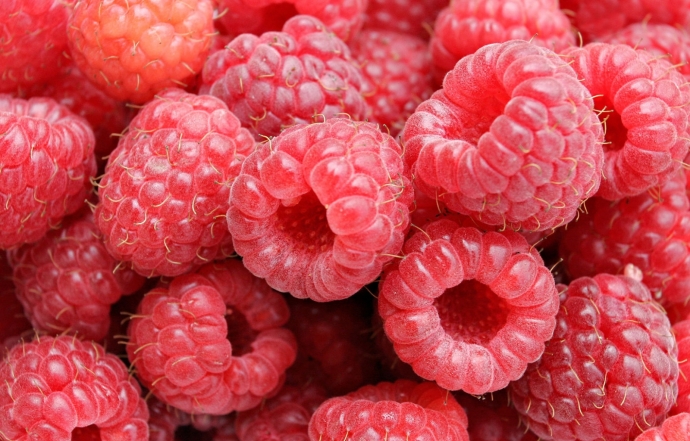 16 Delicious Fruit Photos Xemanhdep Photos-Awesome Pictures Gallery