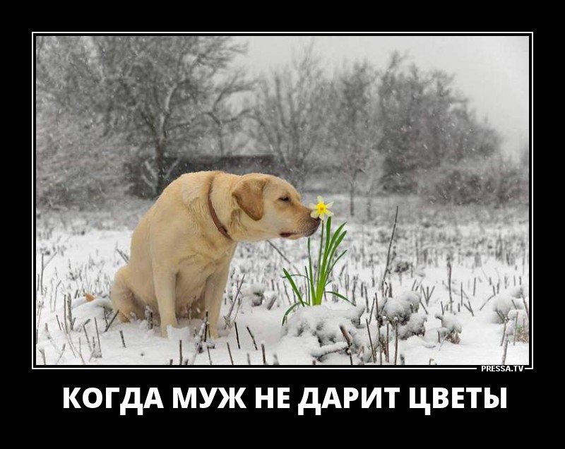 Картинки запахло весной приколы