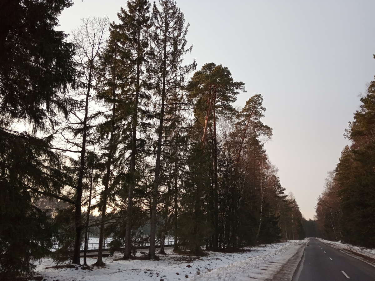 Старый и новый Брест: как Кадыров невольно помог городу 