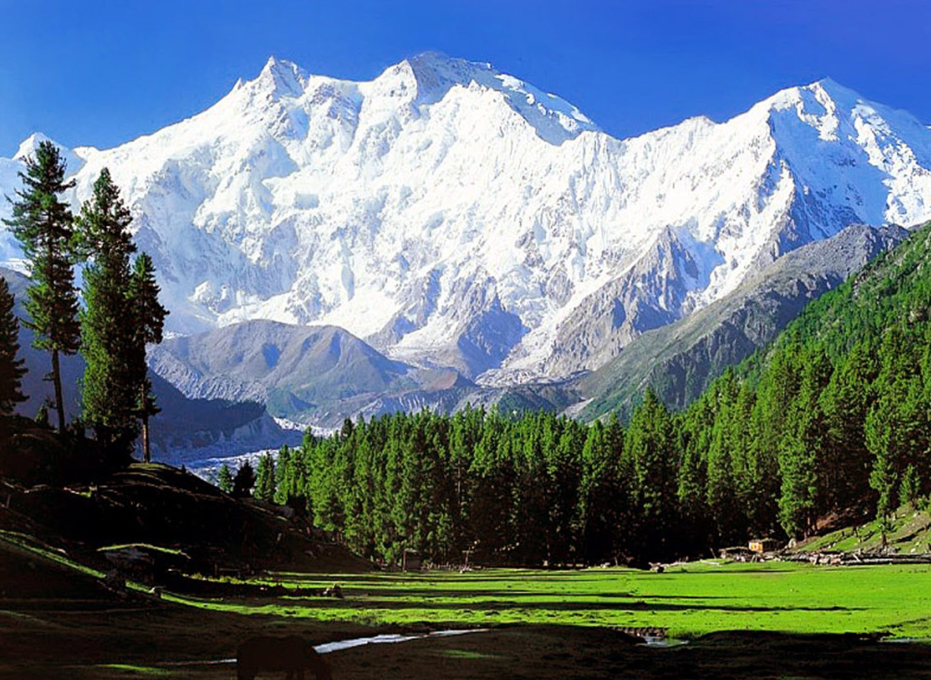 Gory. Нанга Парбат Гималаи. Нанга Парбат Пакистан. Кашмир горы Гималаи. Пакистан горы Гималаи.
