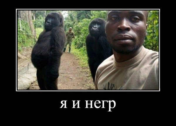 Уморительные шуточки Уморительные шуточки