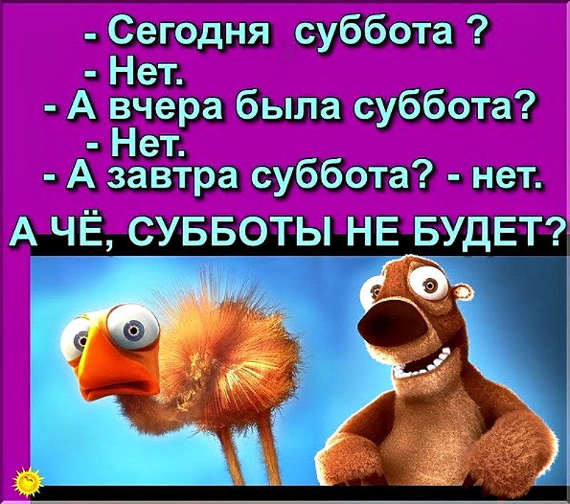 Анекдот про субботу. Анекдоты про выходные. Шутки про субботу. Анекдот про выходные смешные.