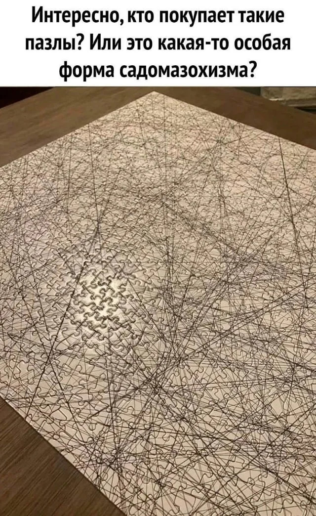 Смешные картинки с надписями и вегетарианские креветки 