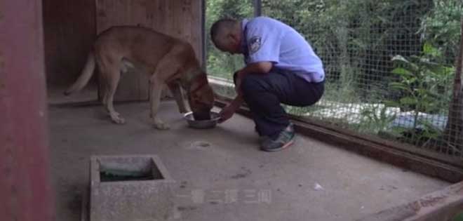 Врачи рекомендовали усыпить собаку, но предать товарища человек не смог Врачи рекомендовали усыпить собаку, но предать товарища человек не смог истории из жизни