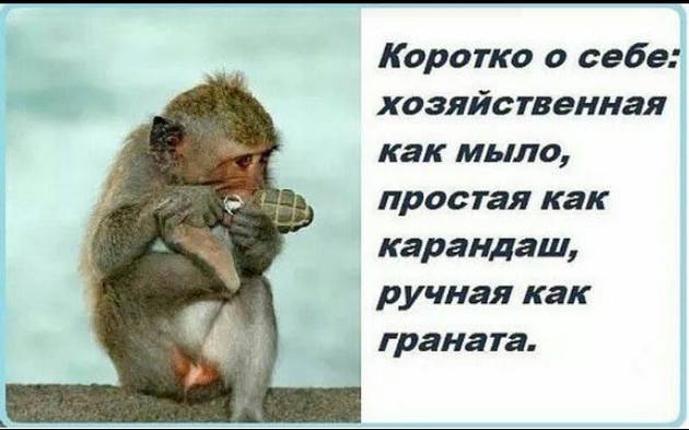 Кухня — это место, о котором мужчины думают, что там готовится обед... весёлые