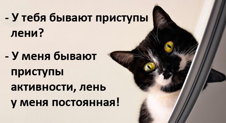 Юмор из интернета 726 Юмор из интернета 726 позитив,смех,улыбки,юмор