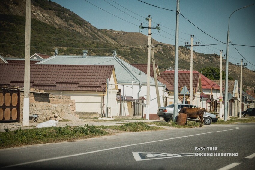 Вопрос на засыпку: почему окна домов в Кабардино-Балкарии не выходят на улицу? Кабардино-Балкария,Кавказ,традиции