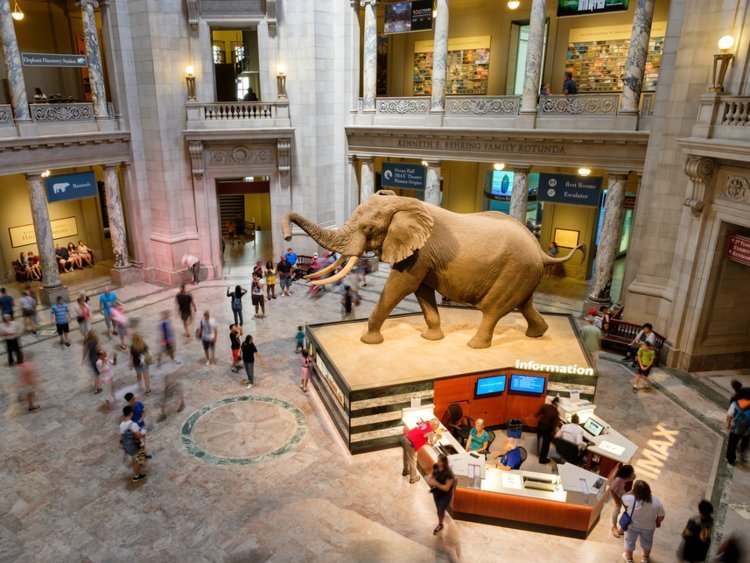 15 самых популярных и посещаемых музеев и галерей в мире