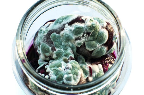Триходерма (Trichoderma)