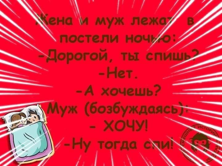 Начальник заходит в свой кабинет, видит кота на своём кресле... весёлые