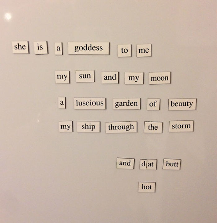 My Wife Didn't Appreciate My Fridge Magnet Poem