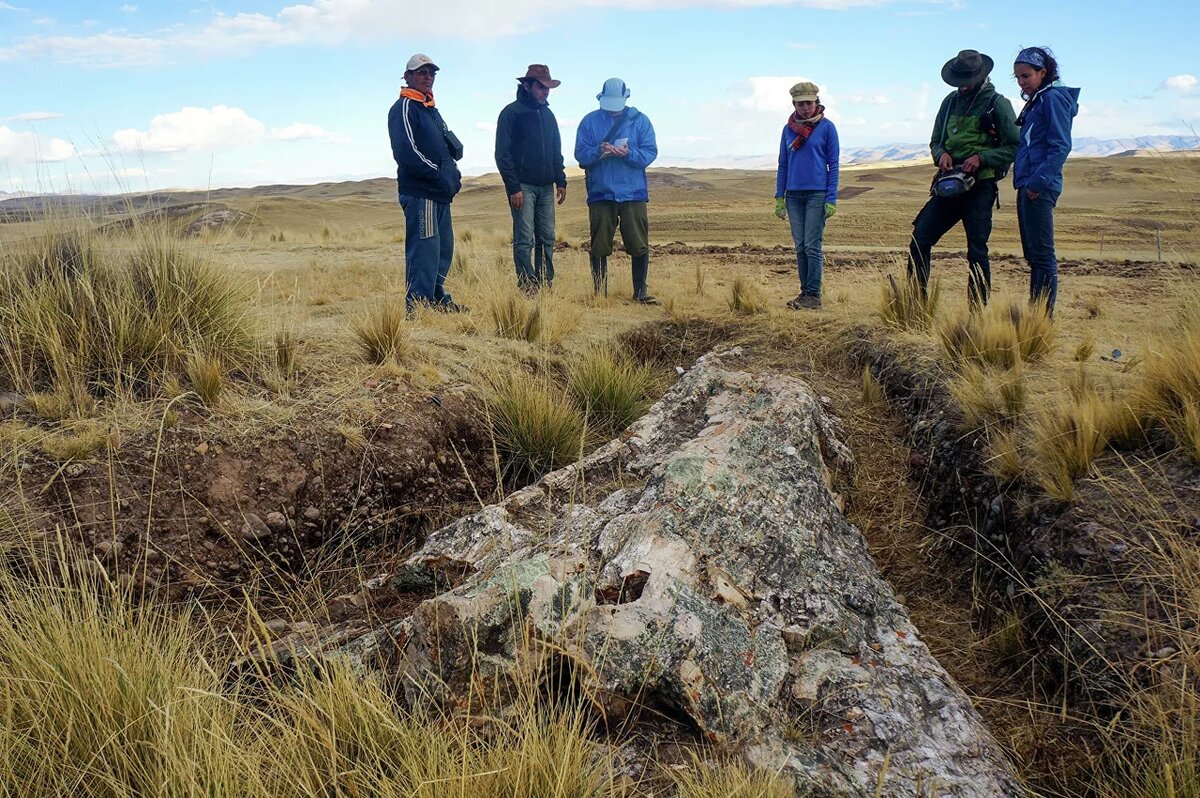 Источник: https://ria.ru/20200828/derevo-1576455456.html