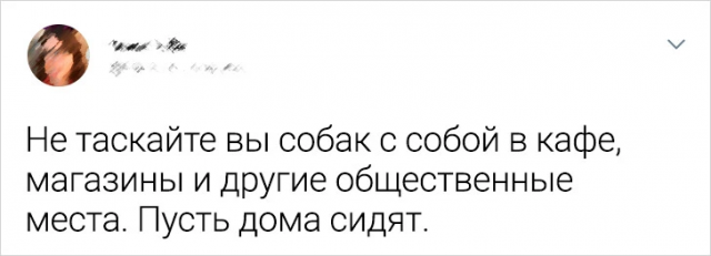 Молодежь рассказала, в чем она согласна со старшим поколением 