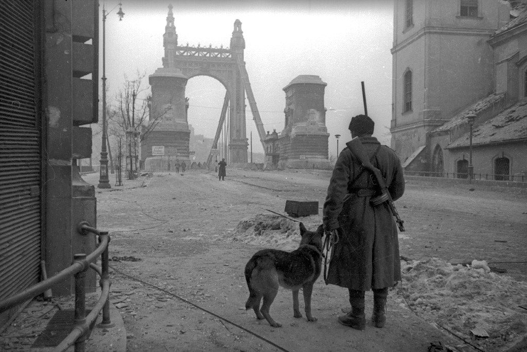 Освобожденная Европа через объективы советских фотографов Великая Отечественная Война,ВОВ,вторая мировая,история,мир,путешествия,Россия