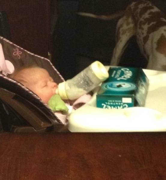 Все проблемы решаемы: родительская версия веселые картинки