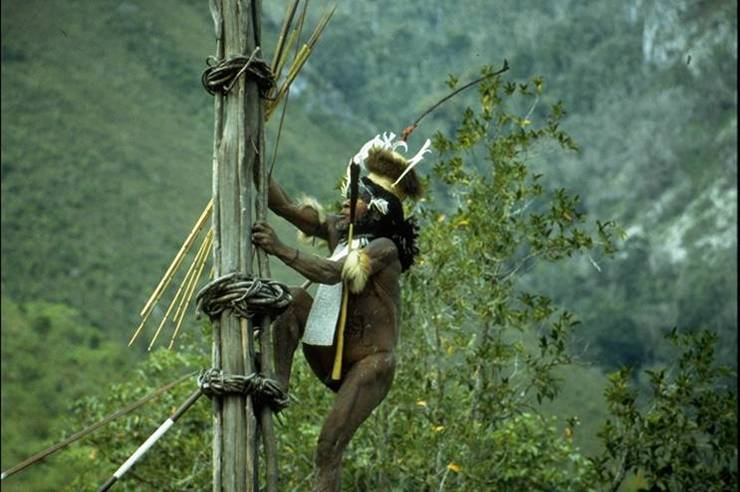 Деревенский военный вождь в Baliem Valley