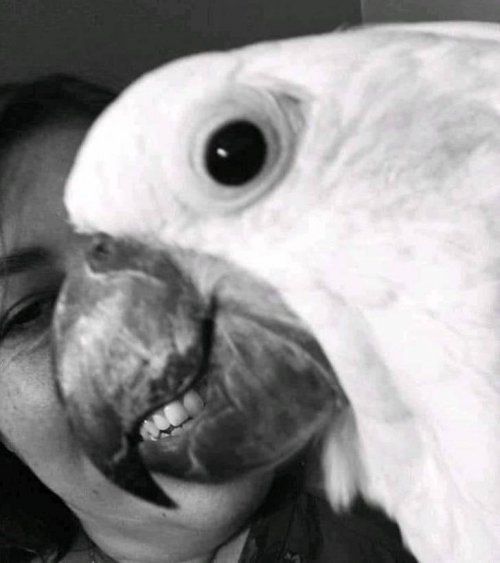 Ракурс решает всё Ракурс решает всё смешные картинки