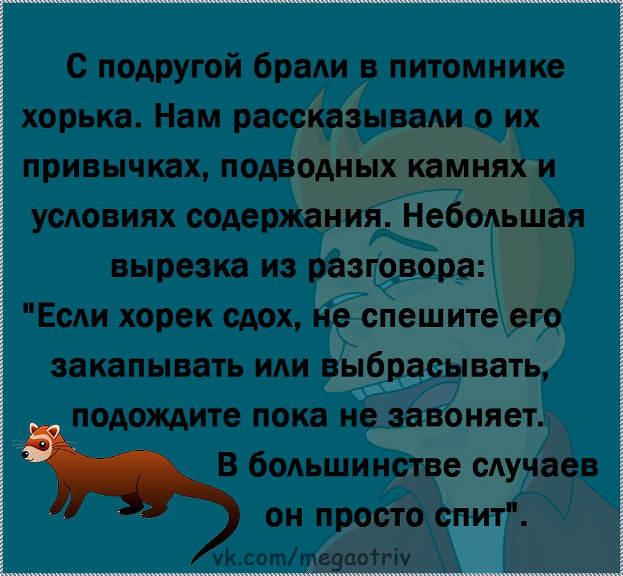 Юмор из интернета 726 Юмор из интернета 726 позитив,смех,улыбки,юмор