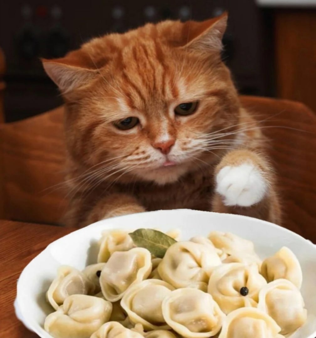 Как я полдня худела или пельмени по-французски Как я полдня худела или пельмени по-французски