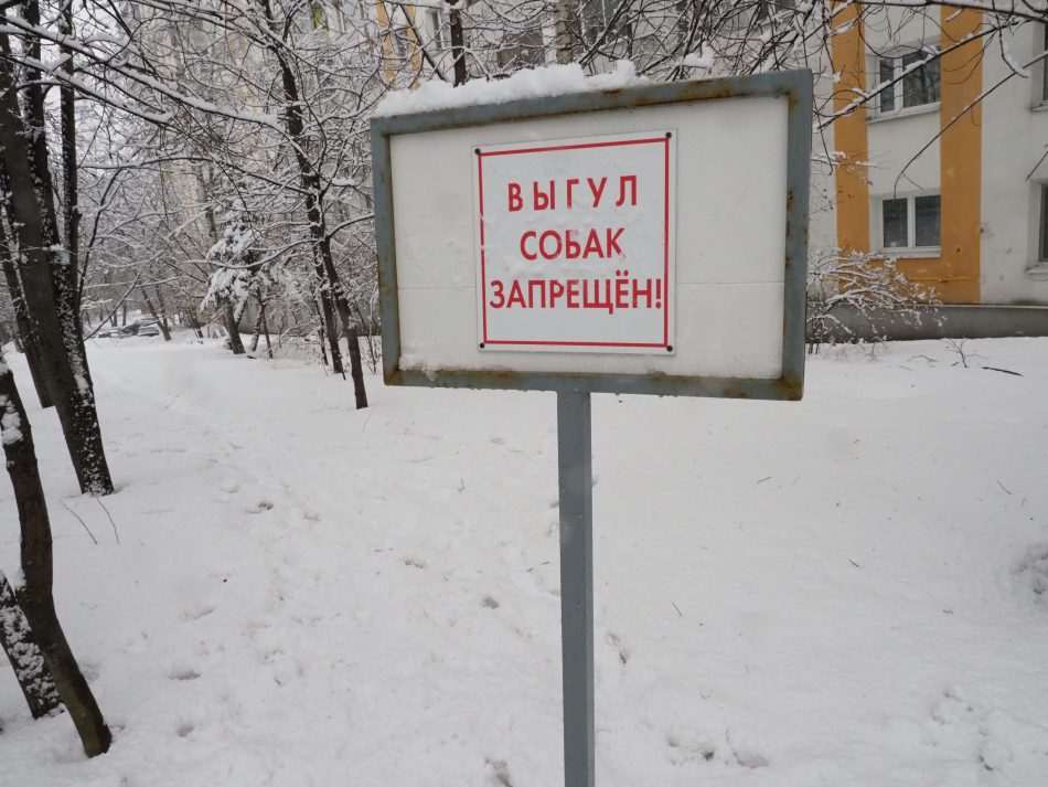 Запрет на выгул собак/Ольга Чумаченко